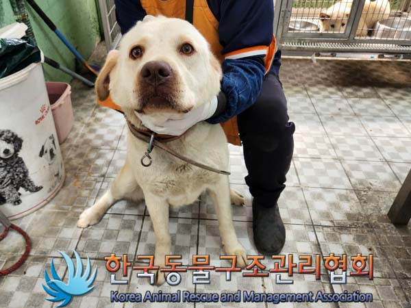 한국동물구조관리협회_441559202300389