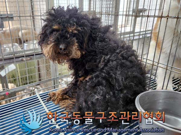 한국동물구조관리협회_441560202300652