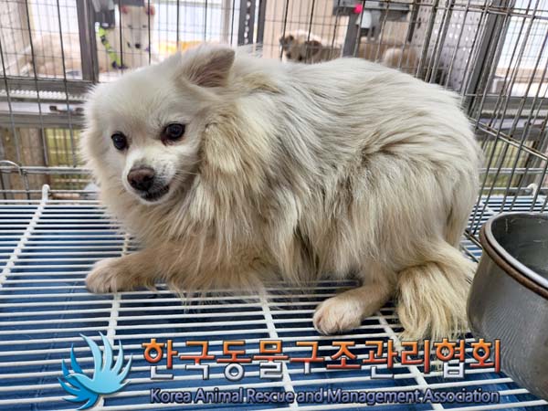 한국동물구조관리협회_441560202300653