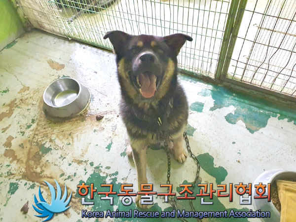 한국동물구조관리협회_441409202300803