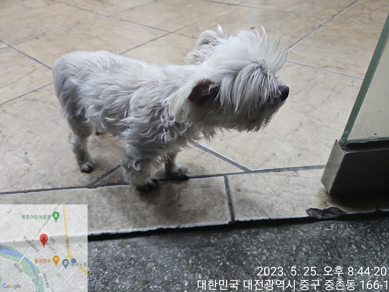 대전동물보호센터_430368202300270