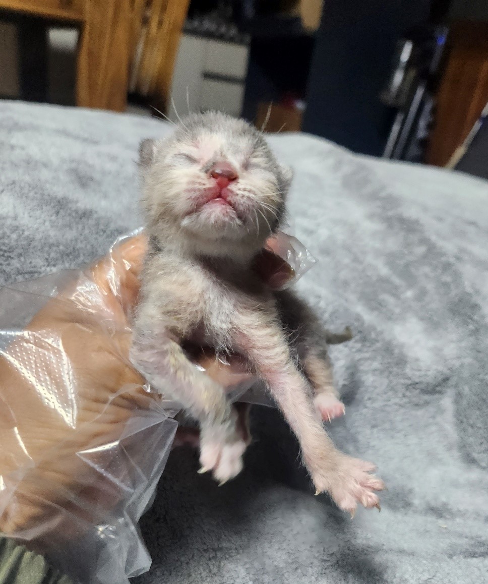울산유기동물보호센터_431371202300219