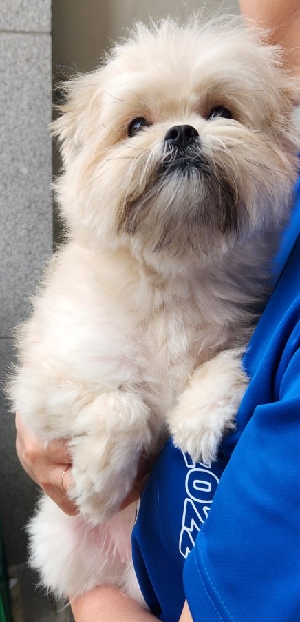 울산유기동물보호센터_431372202300227