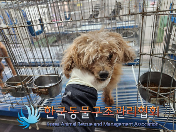 한국동물구조관리협회_411323202300473