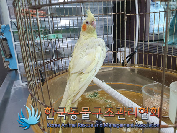 한국동물구조관리협회_441392202300097