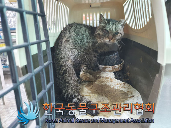 한국동물구조관리협회_411315202300361