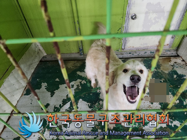 한국동물구조관리협회_441406202300747