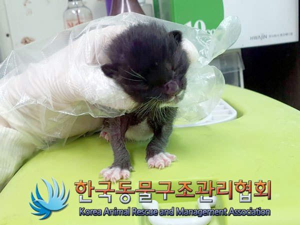 한국동물구조관리협회_441559202300396