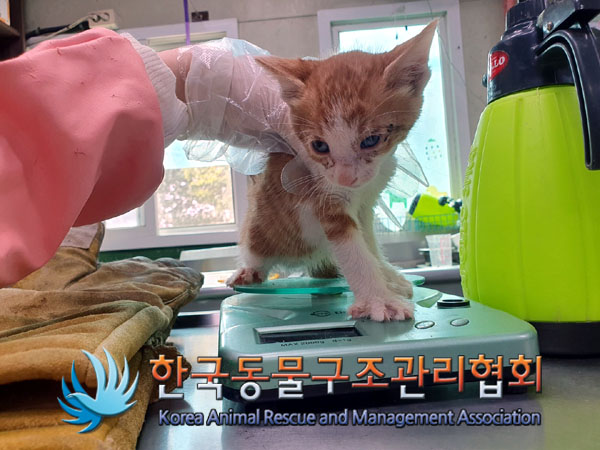 한국동물구조관리협회_441392202300096