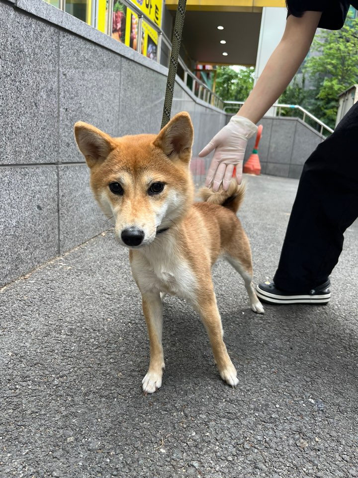 반려동물보호센터_443571202301641
