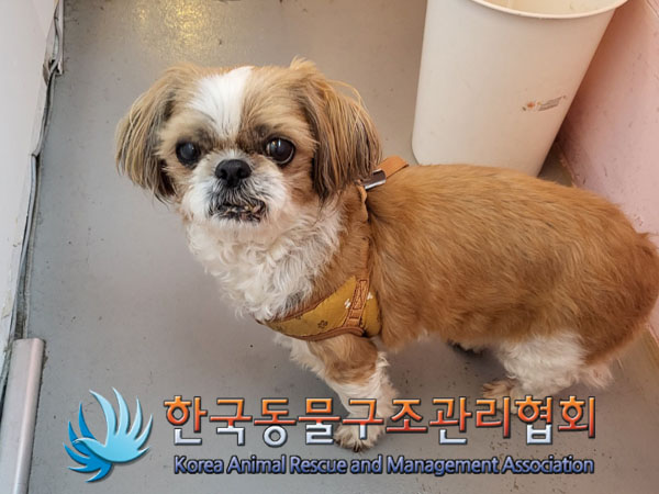 한국동물구조관리협회_411306202300392