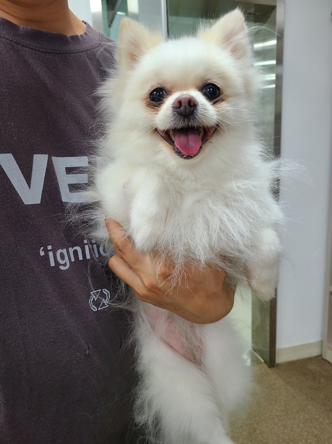 반려동물보호센터_443571202301656