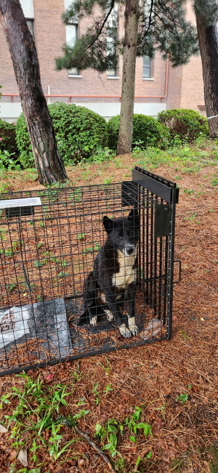 익산유기동물보호소_445468202301152