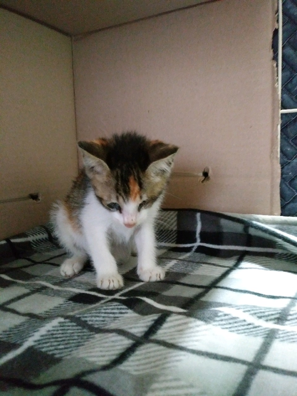 대구시수의사회(동산)_427341202300207