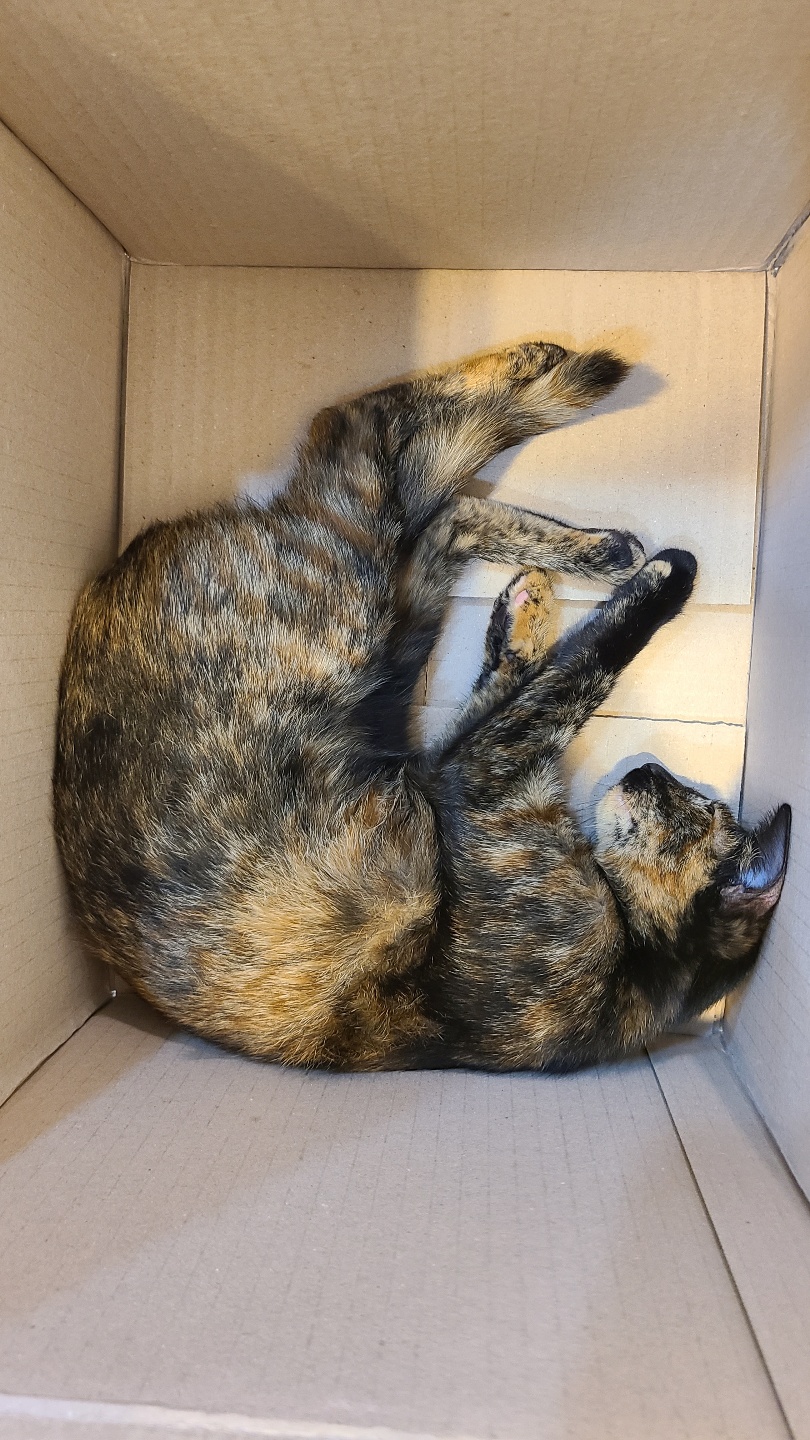 예스동물병원_427346202300550