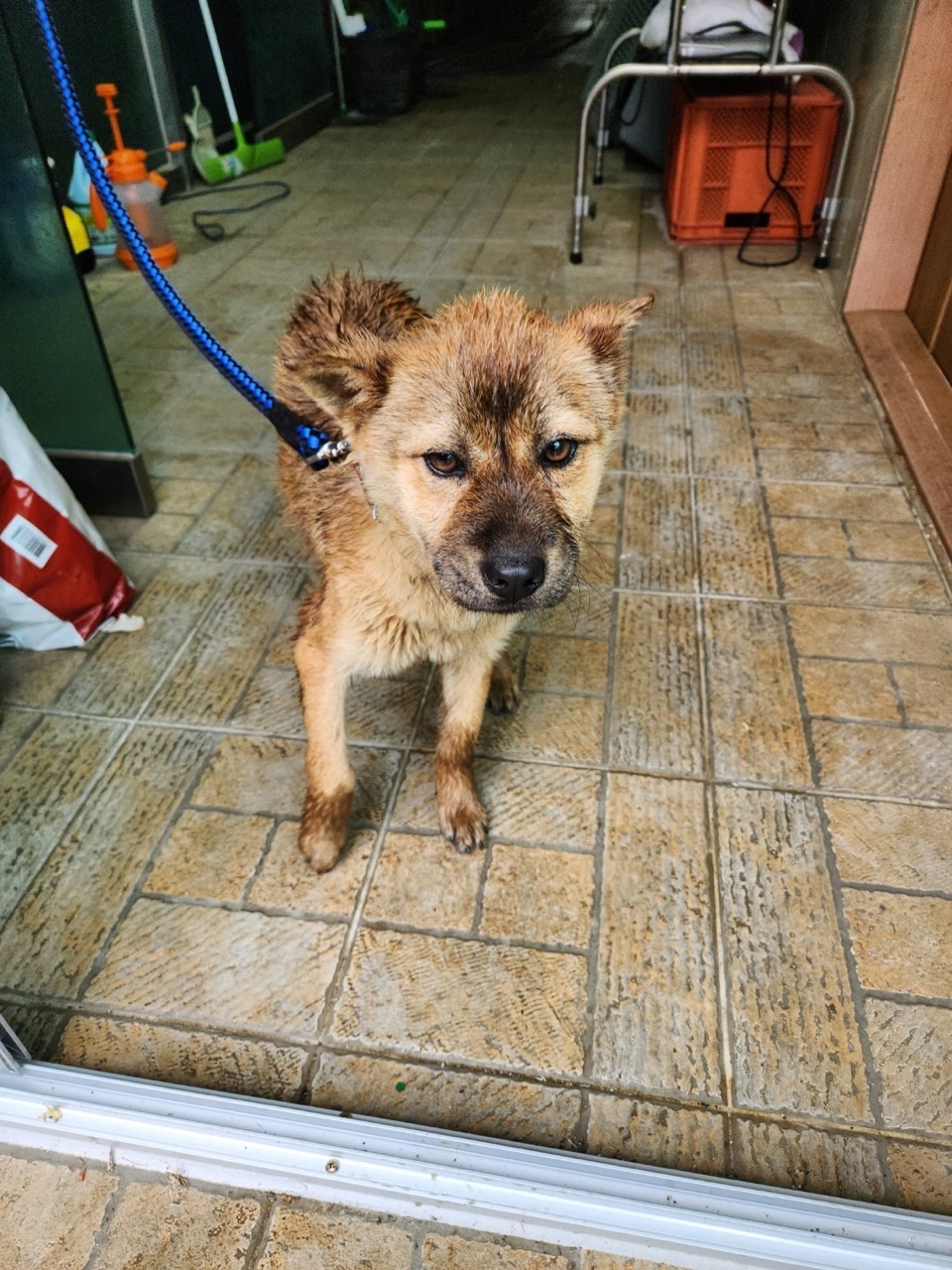 영주시 동물보호센터_447509202300103