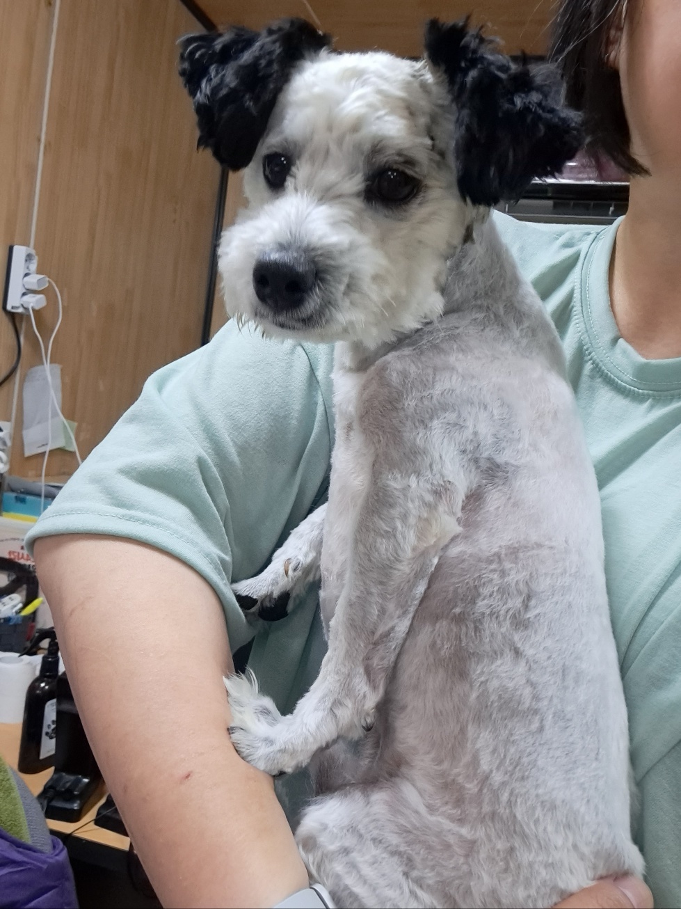 울산유기동물보호센터_431373202300557