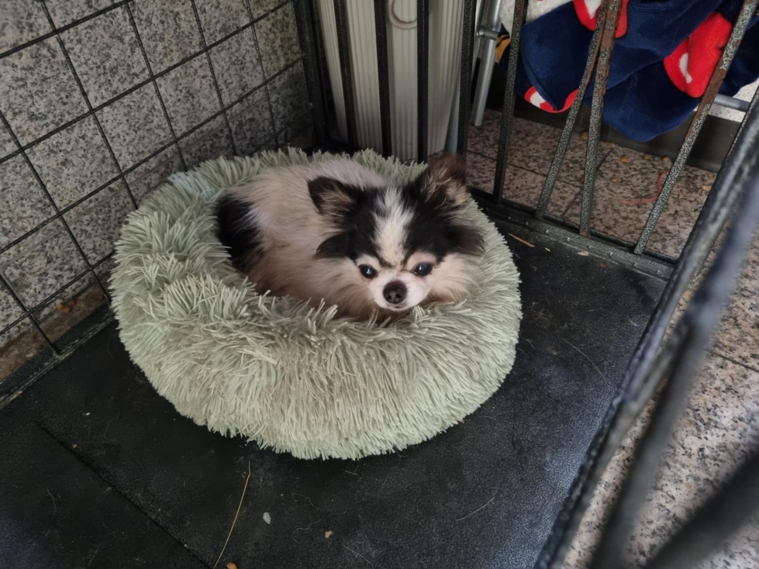 인천광역시수의사회_428352202300197