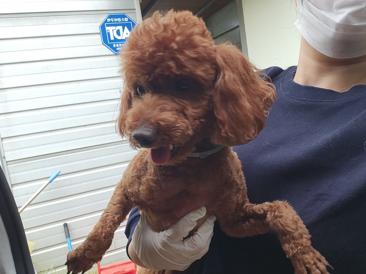 인천광역시수의사회_428351202300434