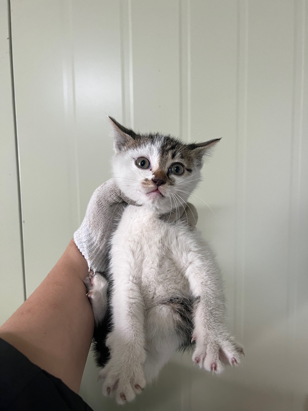 부산동물보호센터_426332202300202