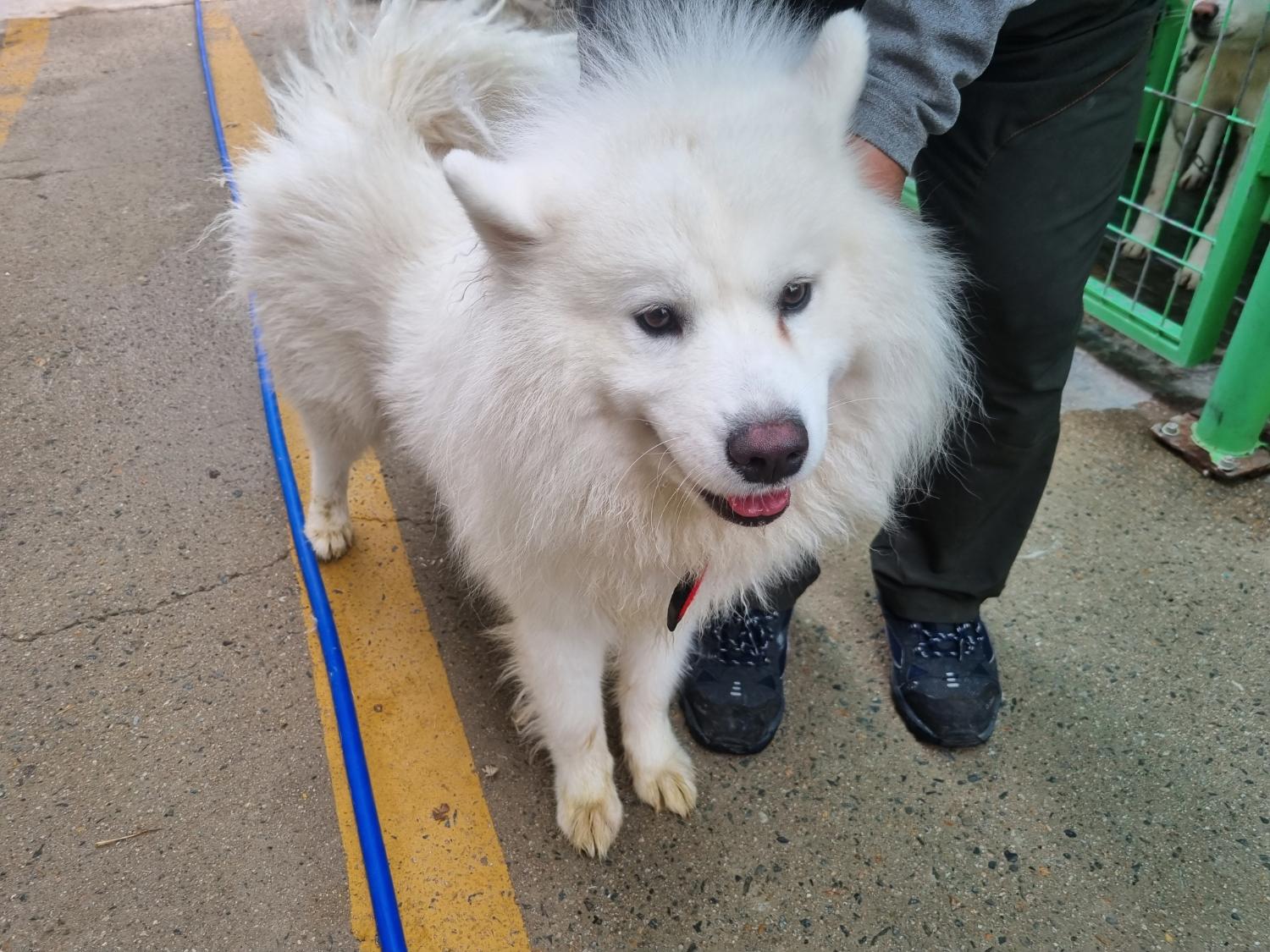 양산시 동물보호센터_448538202300306