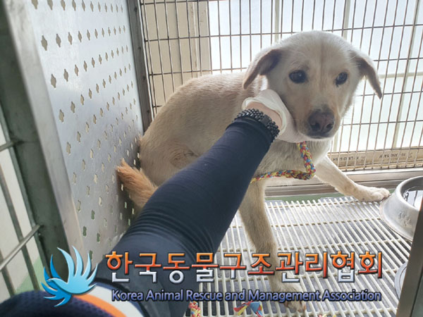 한국동물구조관리협회_441409202300858