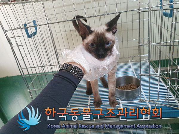 한국동물구조관리협회_411307202300186