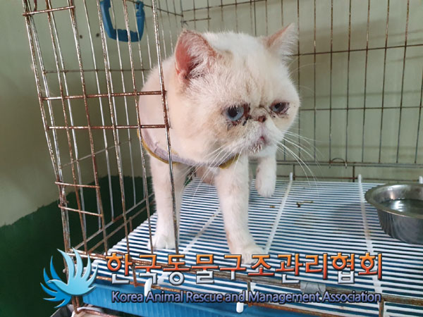 한국동물구조관리협회_411305202300255