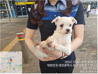 대전동물보호센터_430365202300240