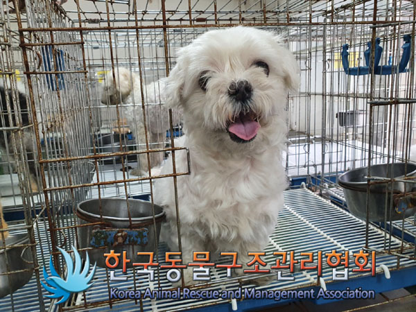 한국동물구조관리협회_411309202300201