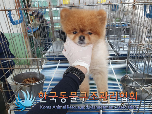 한국동물구조관리협회_411322202300358