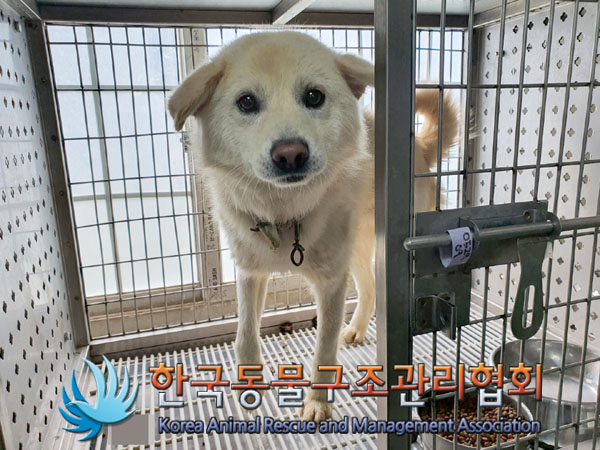 한국동물구조관리협회_441414202300360