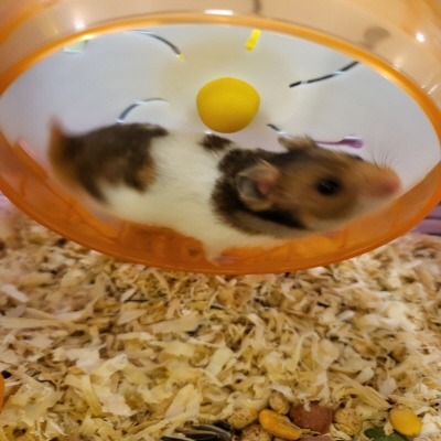 누리동물병원_426330202300110
