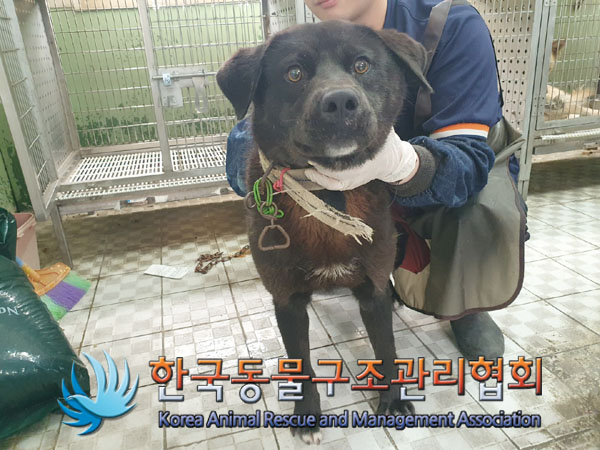 한국동물구조관리협회_441559202300403