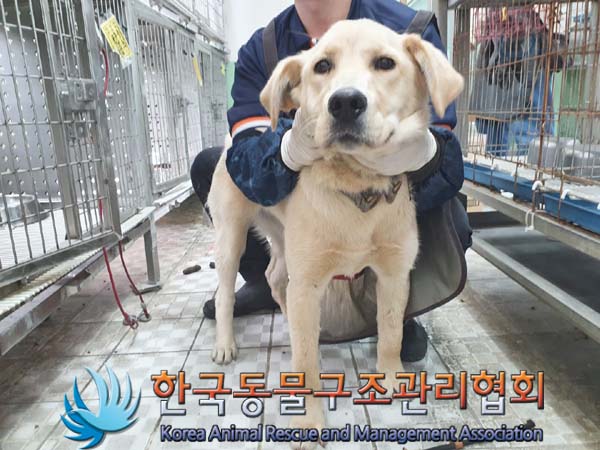 한국동물구조관리협회_441560202300675
