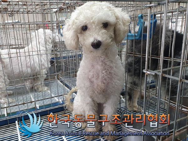 한국동물구조관리협회_411315202300369