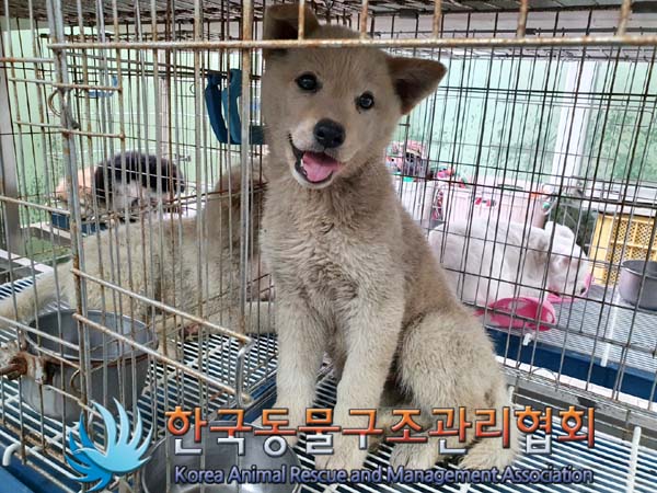 한국동물구조관리협회_441409202300864