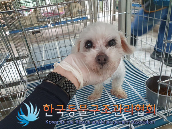 한국동물구조관리협회_411304202300363
