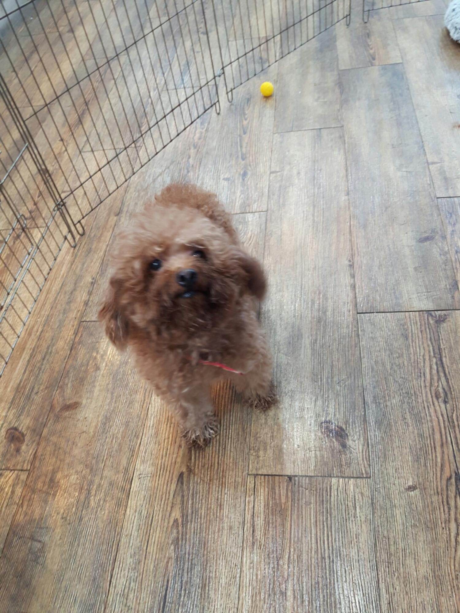 강남동물병원_431370202300470