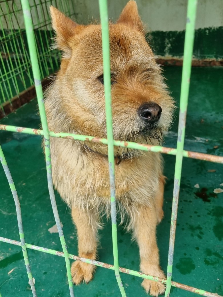 밀양시동물보호센터_448536202301208