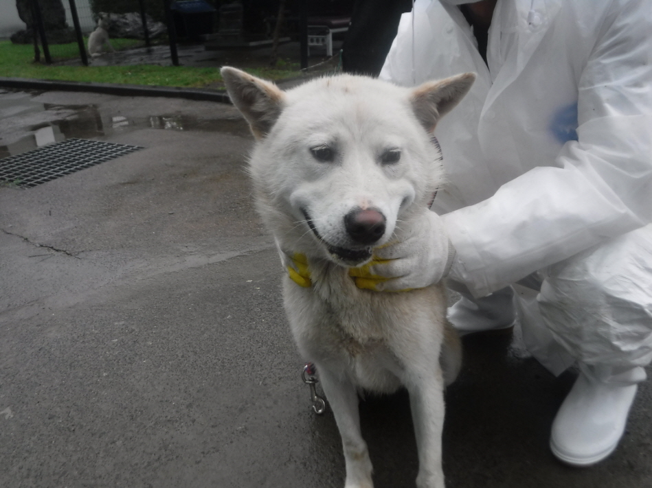 제주 동물보호센터_450650202301761