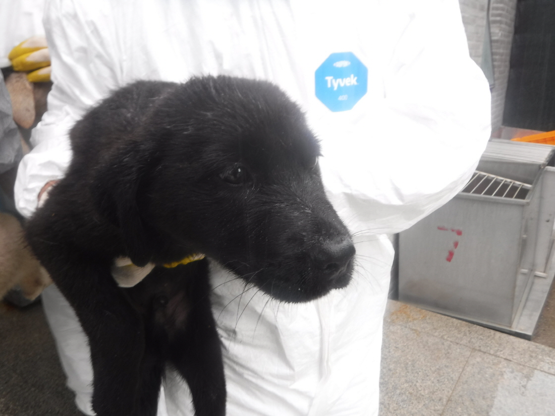 제주 동물보호센터_450650202301754