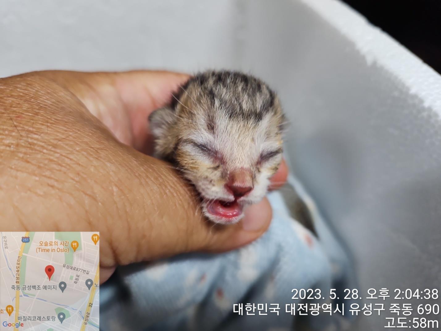 대전동물보호센터_430367202300318