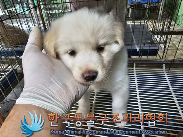 한국동물구조관리협회_441406202300760