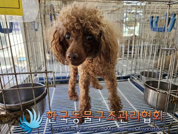 한국동물구조관리협회_411307202300187
