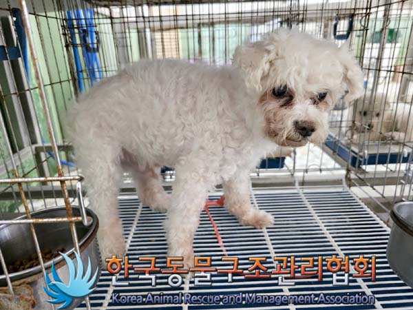 한국동물구조관리협회_411323202300518