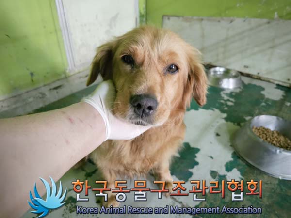 한국동물구조관리협회_441560202300676