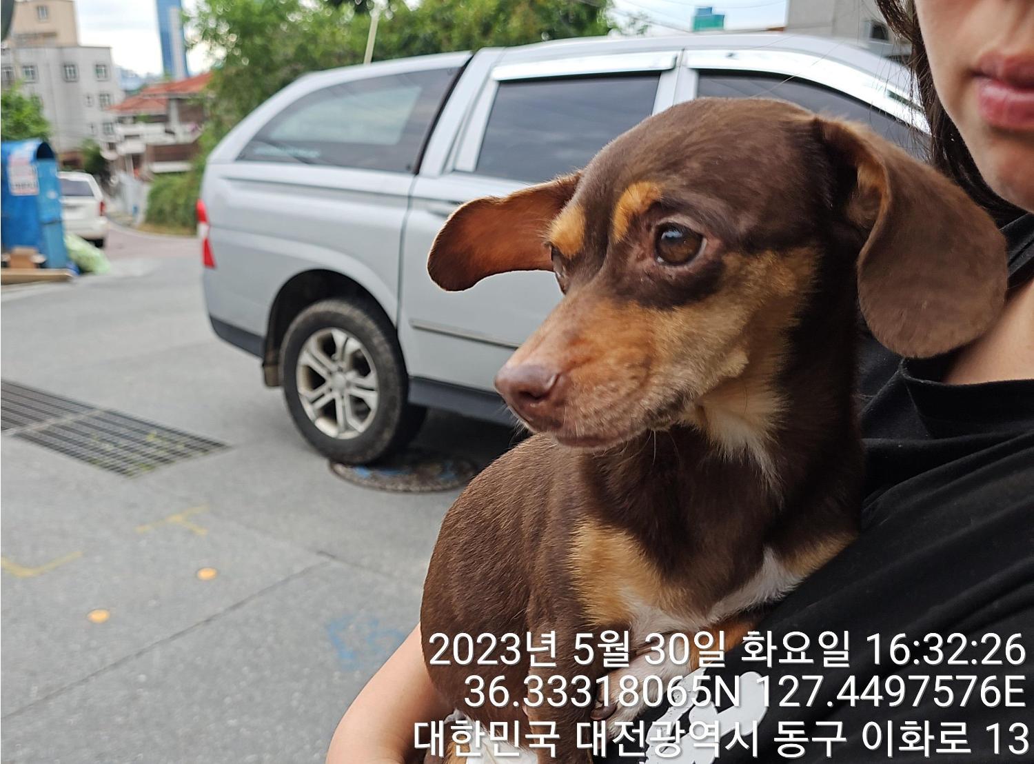 대전동물보호센터_430364202300176