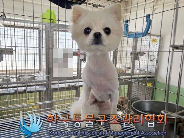 한국동물구조관리협회_411309202300203