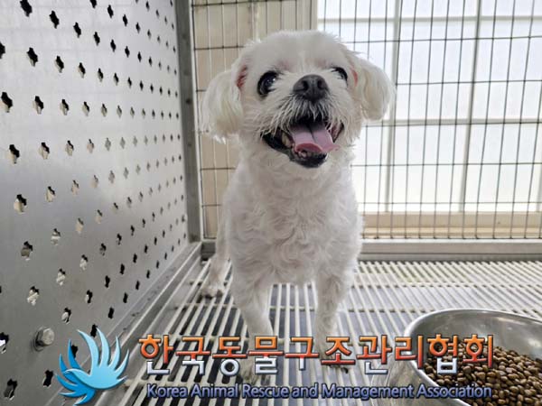 한국동물구조관리협회_411311202300395